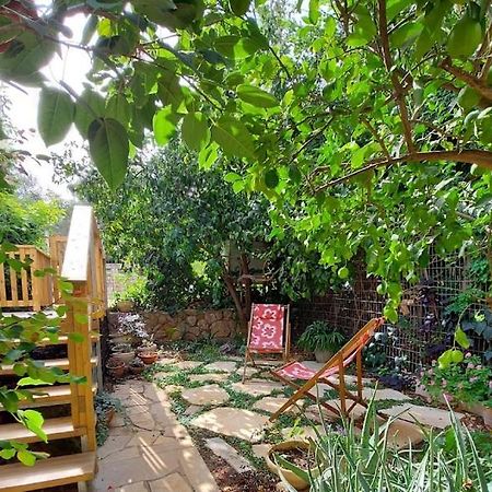 Maple'S Place - אירוח מייפל Rosh Pina Extérieur photo