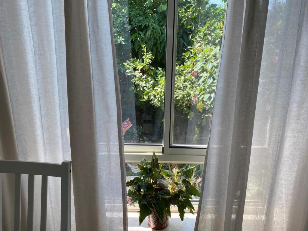 Maple'S Place - אירוח מייפל Rosh Pina Extérieur photo